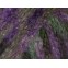 Kidsilk Amore Shimmer